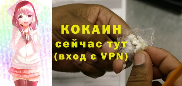 индика Баксан