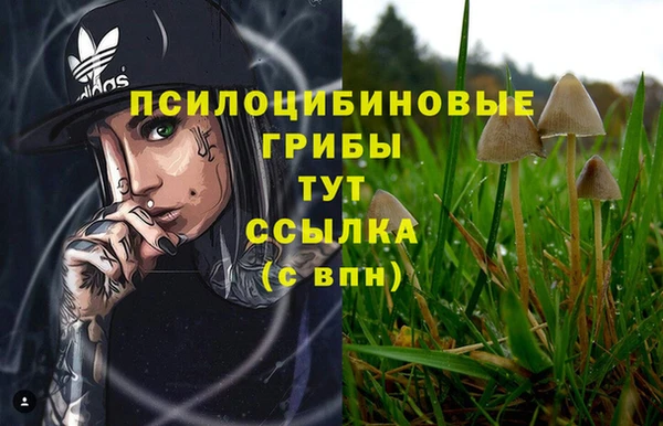 jwh Аркадак
