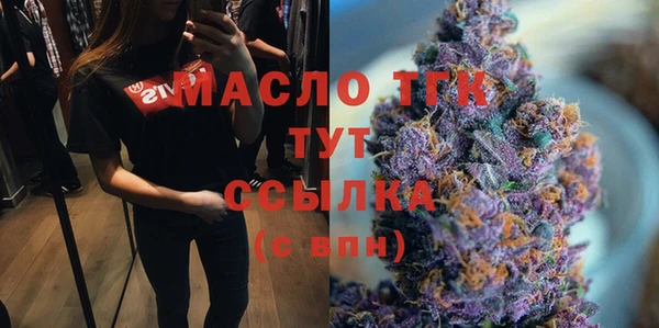 индика Баксан