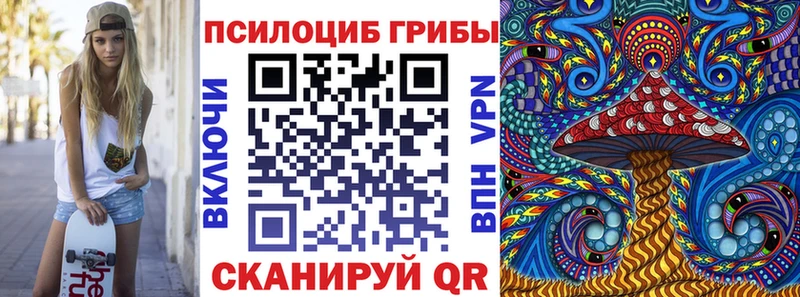 kraken маркетплейс  Валдай  Псилоцибиновые грибы Cubensis 